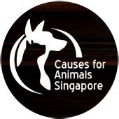 Causes for Animals in Singapore: A Comprehensive Guide to Animal Welfare Issues