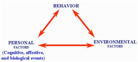 Causes of Aggression in Goslings