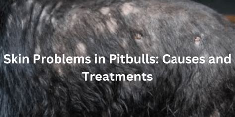 Causes of Allergies in Pitbulls