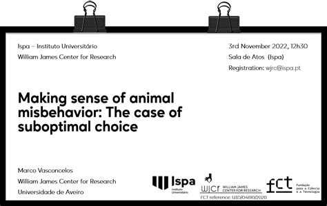 Causes of Animal Misbehavior in Commercial Settings