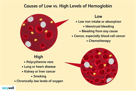 Causes of Elevated RBC, Hemoglobin, and Hematocrit