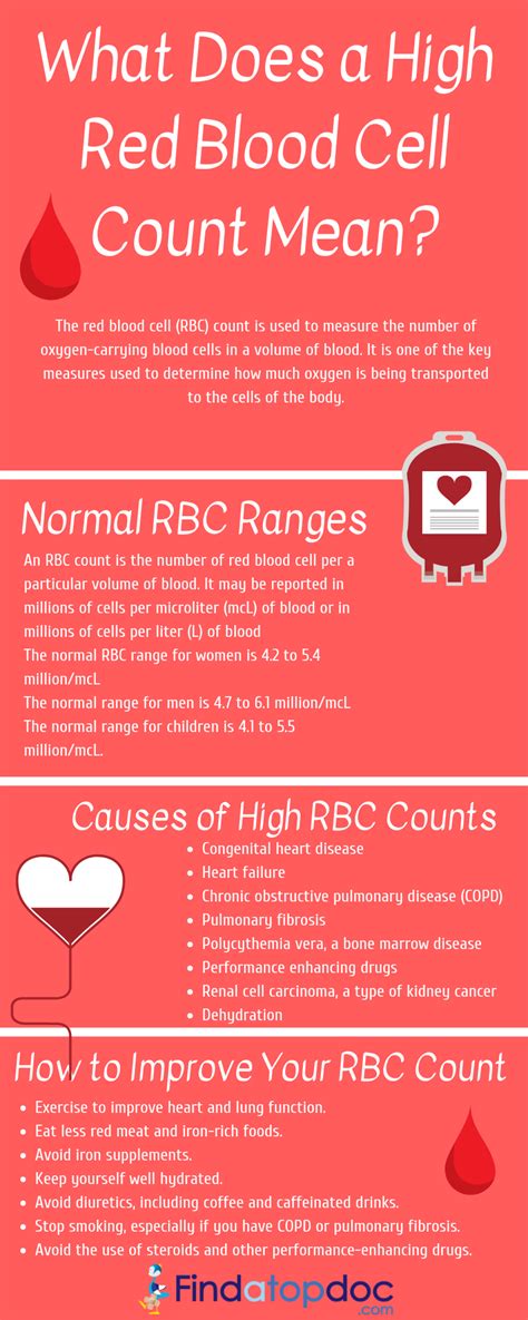 Causes of Elevated RBC: 15 Key Reasons You Need to Know