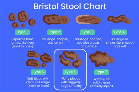 Causes of White Spots in Feces