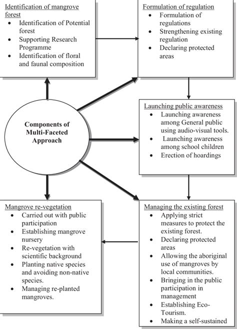 Causes of the Kira Crash: A Multifaceted Perspective