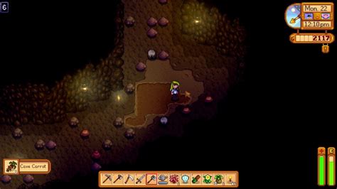 Cave Carrot Stardew: A Comprehensive Guide to a Unique Underground Delicacy