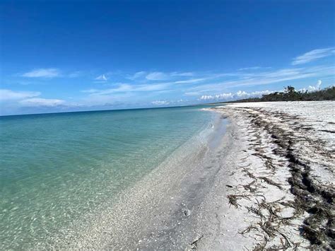 Cayo Costa State Park: A Hidden Gem for Adventure and Relaxation