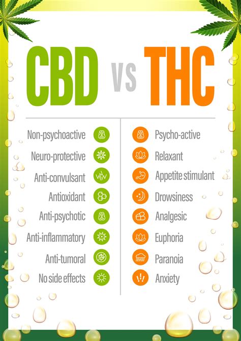 Cbd Vs Thc Chart