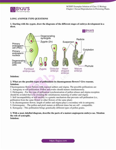 Cbse Ncert Solutions Of Biology Class 12 PDF