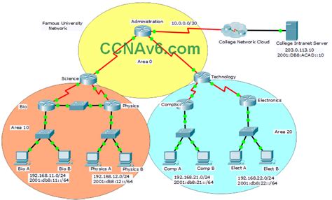 Ccna 3 Routing Lab Answers Reader