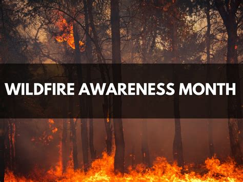 Cecil Fire Blog: A Comprehensive Guide to Wildfire Awareness and Prevention