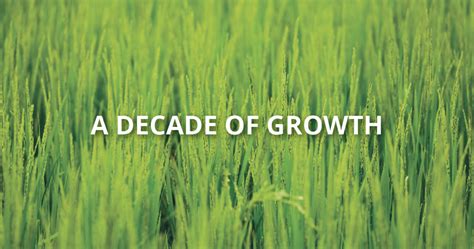 Celebrate a Decade of Growth: