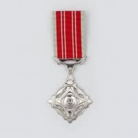 Celebrating National Day with the Award for Efficiency Medal