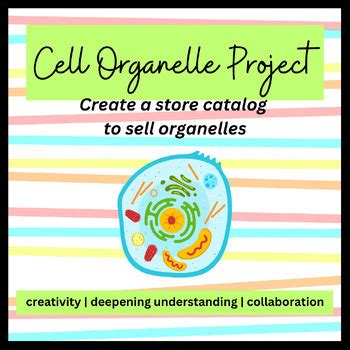 Cell Catalog Project