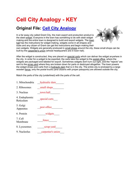 Cell City Analogy Answer Sheet Reader