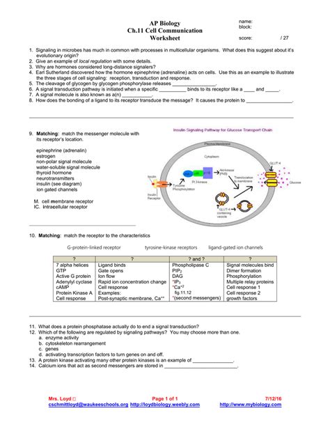 Cell Communication Ap Biology Guide Answer Doc