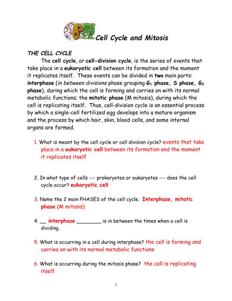 Cell Cycle And Mitosis Packet Answer Doc