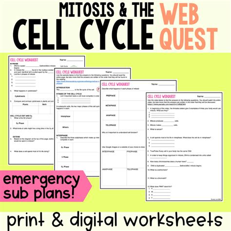 Cell Cycle And Mitosis Webquest Answer Key Doc