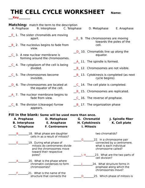 Cell Cycle Mitosis Packet Answer Key Epub