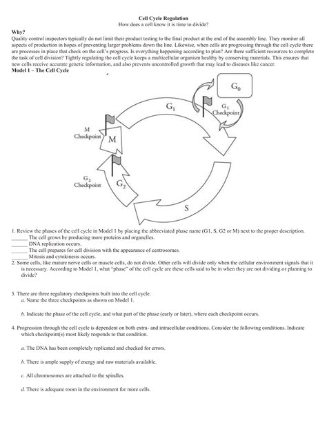 Cell Cycle Regulation Worksheet Answers Kindle Editon