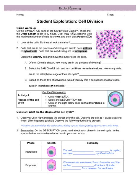 Cell Division Worksheet Answer Key Epub