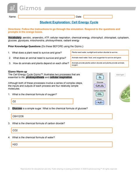 Cell Energy Review Answer Key Epub