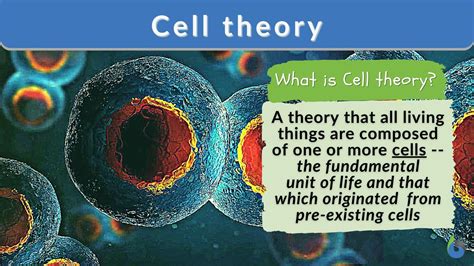 Cell First Form: The Ultimate Guide to the Cellular Paradigm