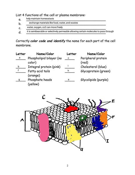 Cell Membrane Coloring Worksheet Answer Key Epub