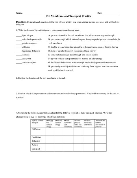 Cell Membrane Transport Test Review Answers PDF