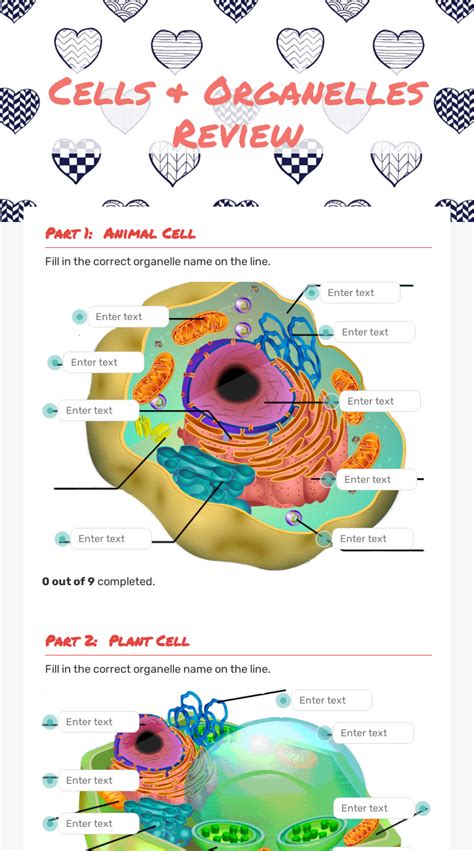 Cell Organelle Review Answers PDF