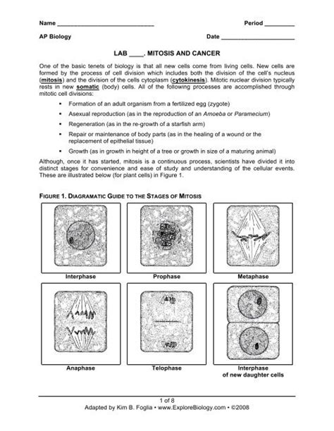 Cell Reproduction Cycle Virtual Lab Answers Reader