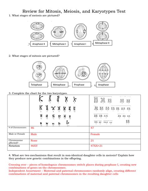 Cell Reproduction Mitosis And Meiosis Webquest Answers Epub