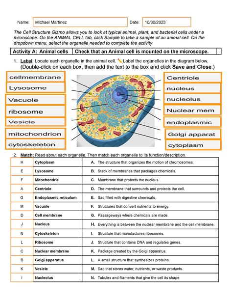 Cell Structure Answer Key Epub