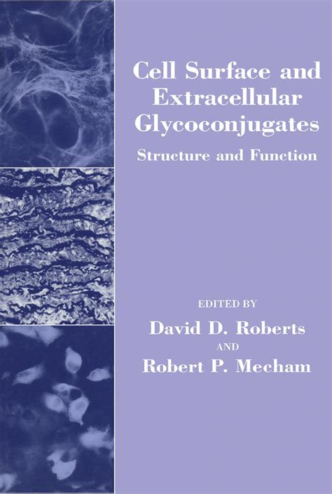 Cell Surface and Extracellular Glycoconjugates Structure and Function Reader