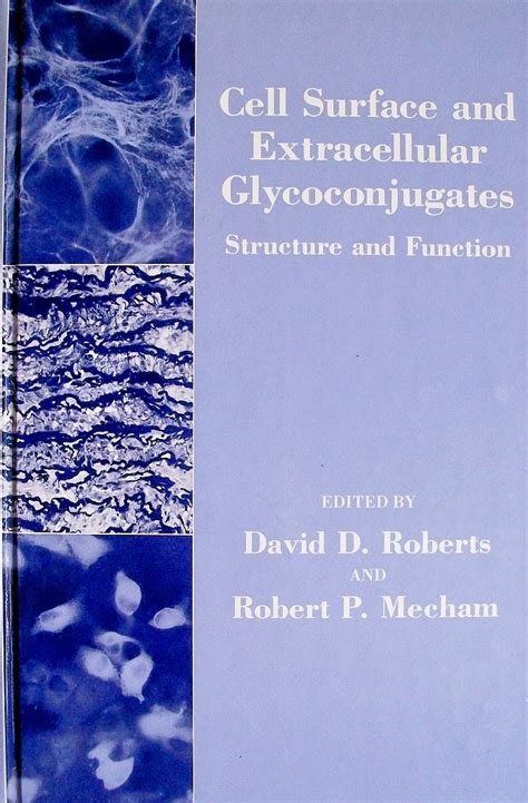 Cell Surface and Extracellular Glycoconjugates Structure and Function Reader