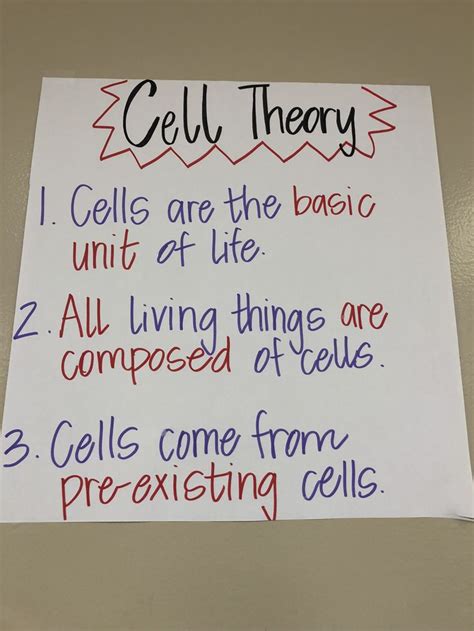 Cell Theory Anchor Chart