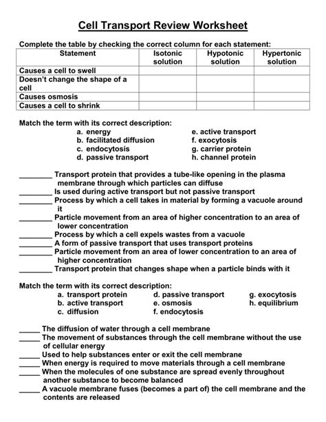 Cell Transport Critical Thinking Answer Key Reader