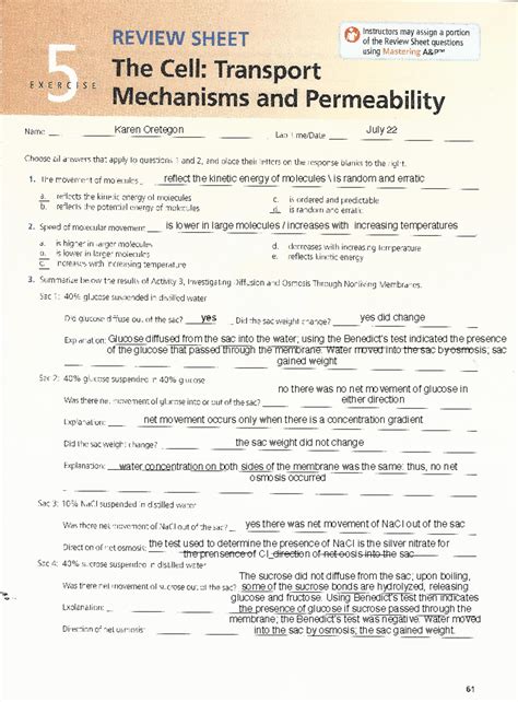 Cell Transport Mechanisms Permeability Review Sheet Answers Epub