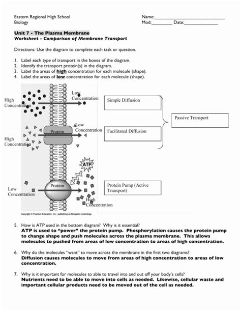 Cell Transport Pogil Answer Epub