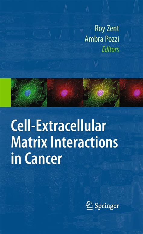 Cell-Extracellular Matrix Interactions in Cancer 1st Edition Doc