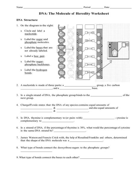 Cells And Heredity Test Answer Key Doc