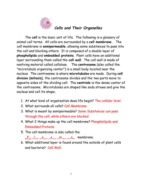 Cells And Their Organelles Packet Answers Epub