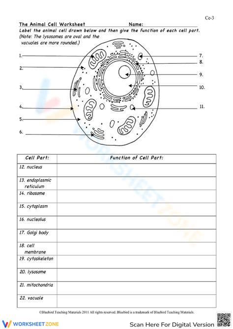 Cells Worksheet And Answer Key PDF