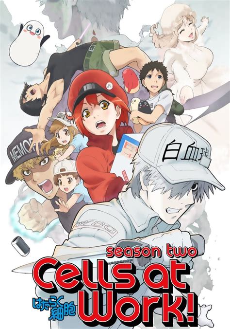 Cells at Work! Season 2: A Deep Dive into the Human Body's Inner Workings