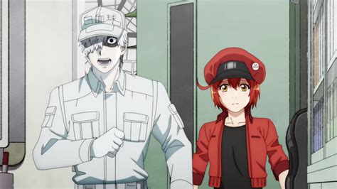 Cells at Work! Season 2: The Fight Against Illness Continues