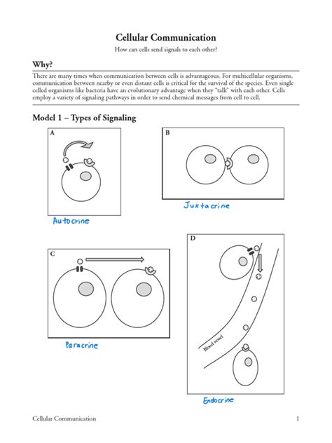 Cellular Communication Pogil Answer K Reader