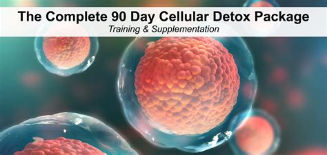 Cellular Detoxification: