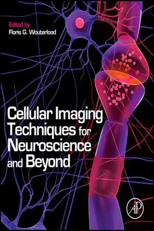 Cellular Imaging Techniques for Neuroscience and Beyond Epub