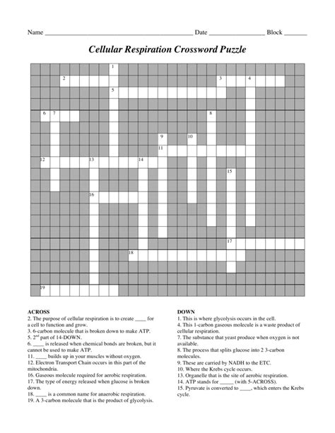 Cellular Respiration Cross Word Answers PDF