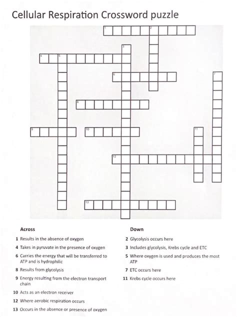 Cellular Respiration Crossword Puzzle Answer Reader