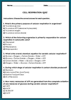 Cellular Respiration Test Prentice Hall Answer Key Doc